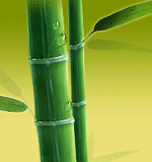 ����������� ���